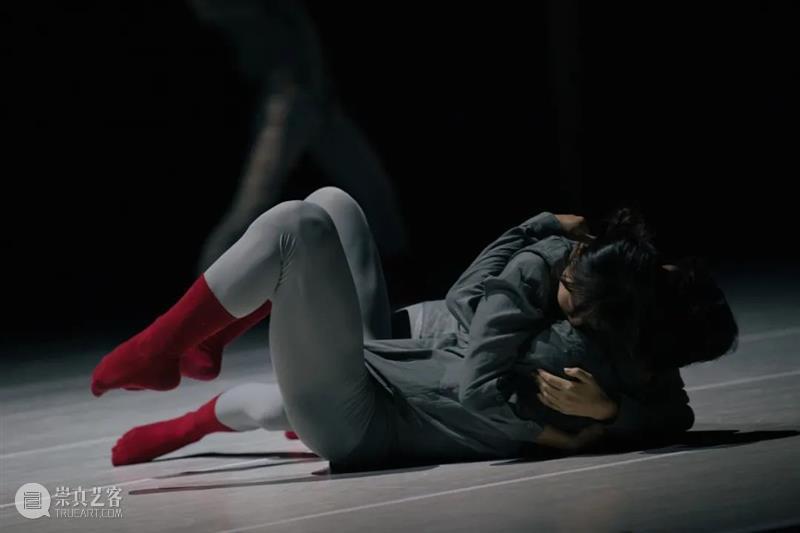 热售中|从爱情纠葛到物理概念,谢欣舞蹈剧场新锐新作《四相》 博文精选 国舞剧场 崇真艺客